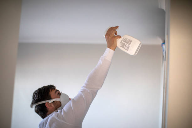 Best Professional Mold Removal  in Dunwoody, GA