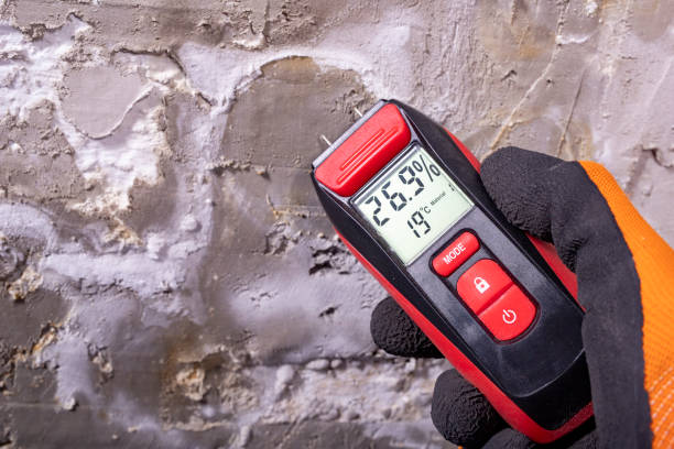 Best Office Mold Removal Services  in Dunwoody, GA