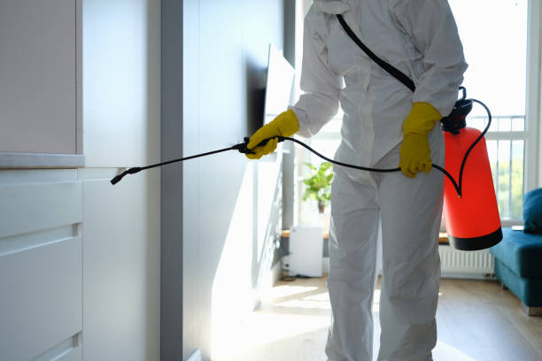 Best Commercial Mold Removal  in Dunwoody, GA