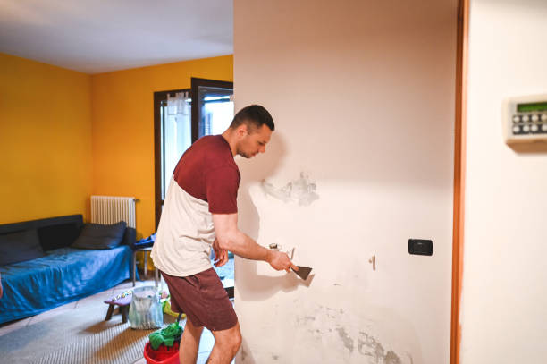 Dunwoody, GA Mold Removal Company
